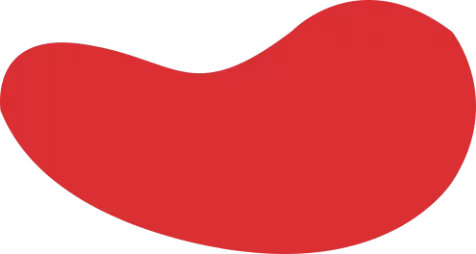 bsports(中国)B—sports登录入口